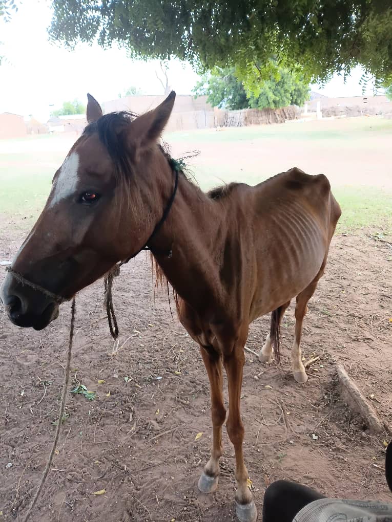 Sanga